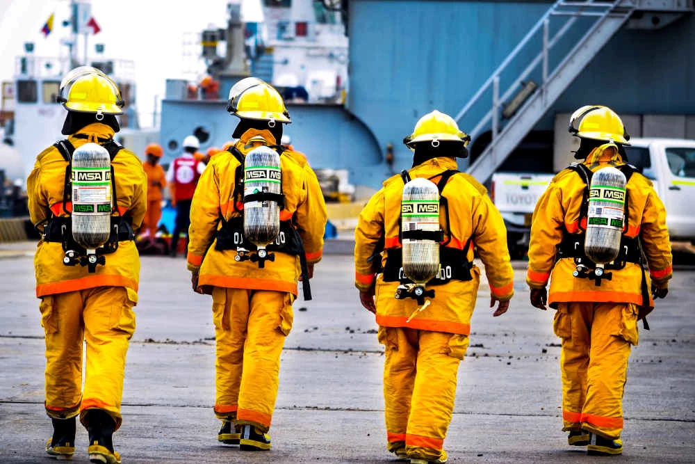 Beschreibung des Bildes