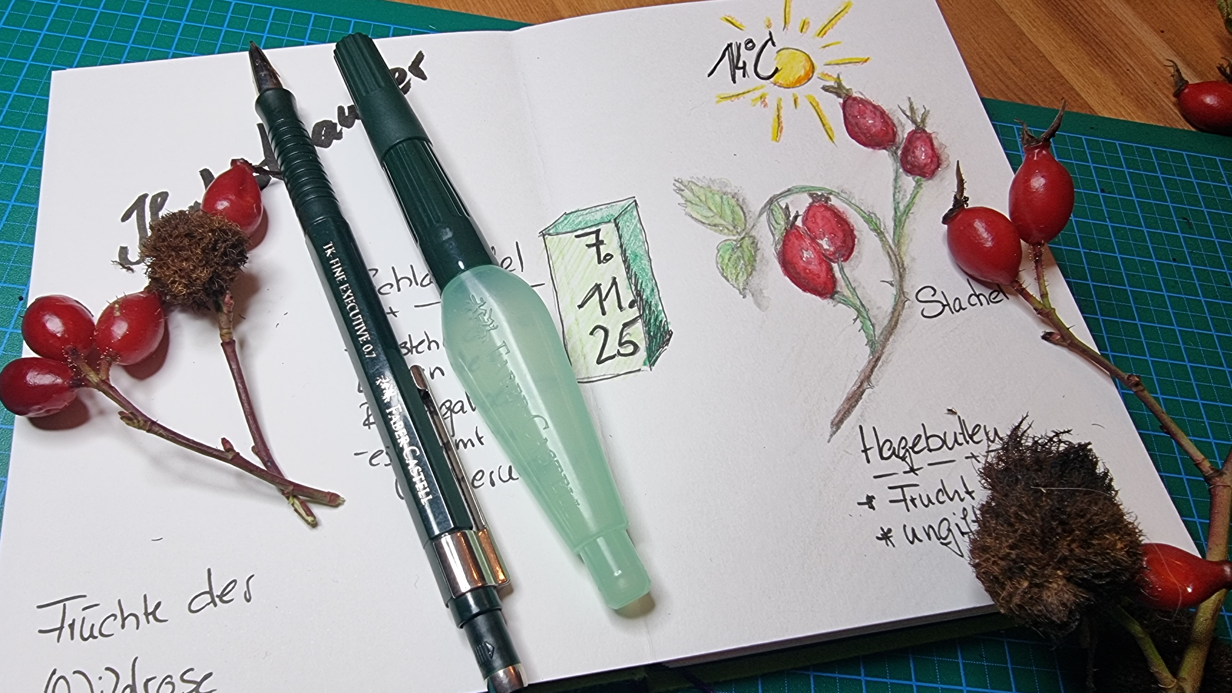 Ehrenamt - Umfeld der Tätigkeit: Tierschutz - Deutschland - Stiftung Hackenjos & Töchter